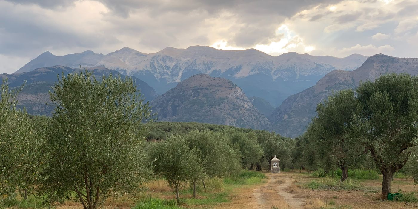 agrs 20251216 nomicos